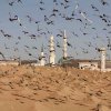 جدید ترین تصاویر مدینه - بقیع 1392